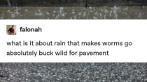 Thumbnail for Pavement worms in rain | Jeaney Collects