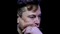 Thumbnail for ‘Significant’: Musk’s assassination claim | The Daily Telegraph