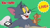 Thumbnail for 🔴 LIVE: Tom and Jerry Best Moments | 2 Hours Compilation | Tom & Jerry | Boomerang TV