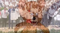 Thumbnail for Biden Yells "Don't Jump" During Photo Honoring Paralympic Athletes | Memology 101