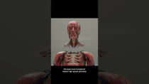 Thumbnail for Head Transplant Machine 😨 Surgeon Reacts | Dr. Michael Gartner FACS Plastic Surgeon