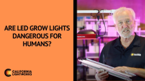 Thumbnail for Are LED Grow Lights Dangerous for Humans? | California LightWorks