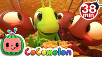 Thumbnail for The Ant and the Grasshopper + More Nursery Rhymes & Kids Songs - CoComelon