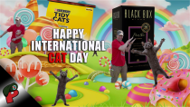 Thumbnail for Happy International Cat Day | Grunt Speak