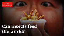 Thumbnail for Will you be eating insects soon? | The Economist