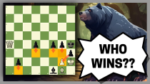 Thumbnail for The Bear's 3 Chess Puzzles - Episode 8 | Chess Vibes
