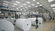 Thumbnail for How Paper Is Made | PaperOne