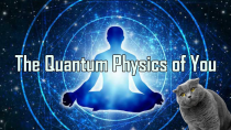 Thumbnail for The Quantum Physics inside YOU | Sciencephile the AI