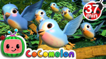 Thumbnail for Five Little Birds 3 + More Nursery Rhymes & Kids Songs - CoComelon
