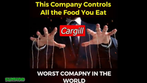 Thumbnail for Cargill – the worst company in the world