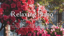 Thumbnail for [24/7] A relaxing and calm piano song that will soothe your tired mind l GRASS COTTON+ | GRASS COTTON 그래스코튼