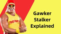 Thumbnail for Gawker Stalker Explained (Stalking Celebrities)