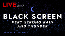 Thumbnail for 🔴 Sleep Fast with Pure Nature Rain and Incredible Present Thunder Sounds | Black Screen