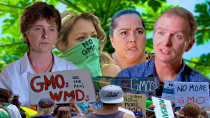 Thumbnail for Is Hawaii's Anti-GMO Movement Really Just Anti-Science?