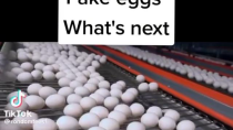 Thumbnail for Fake eggs are a thing...