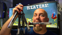 Thumbnail for Don't Believe The Lies About Aquarium Heaters? | KGTropicals