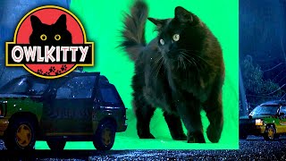 Thumbnail for Jurassic Park with a Cat — Behind the Scenes | OwlKitty