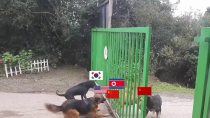 Thumbnail for North Korean conflict summarized | CS Ghost Animation