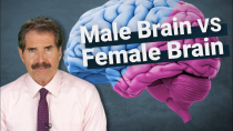 Thumbnail for Stossel: The Science Around Male Brains vs. Female Brains