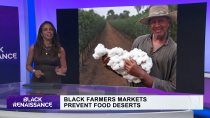 Thumbnail for Black Farmers Market original content