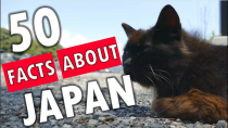 Thumbnail for 50 Facts About Japan | Rachel and Jun