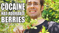 Thumbnail for COCA PLANT : Where Cocaine Comes From - Weird Fruit Explorer