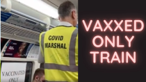 Thumbnail for The Vaccinated Only Carriage | social experimentalist