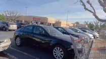 Thumbnail for Face-Diaper Wearing Boomer Costco Customer Doesn't Return His Shopping Cart
