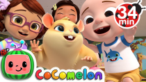 Thumbnail for Class Pet Song + More Nursery Rhymes & Kids Songs - CoComelon