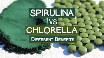 Thumbnail for Spirulina VS Chlorella, Which One Should You Take? | SuperfoodEvolution
