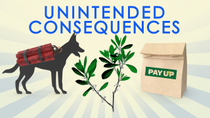 Thumbnail for Great Moments in Unintended Consequences: Seattle PayUp Law, Dog Bombs, Colombian Coca (Vol. 21) | ReasonTV