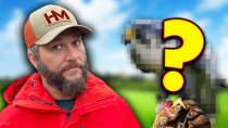 Thumbnail for Forget Chickens! This Bird Gives 100X More Food | HAXMAN