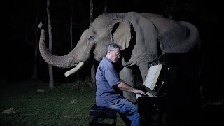 Thumbnail for Beethoven “Moonlight Sonata” for Old Elephant | Paul Barton