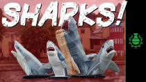 Thumbnail for The Battle of SHARKS! | CGP Grey