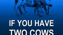 Thumbnail for You have 2 cows