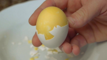 Thumbnail for How to Scramble Eggs Inside Their Shell | NightHawkInLight