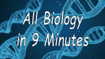 Thumbnail for All of Biology in 9 minutes | Sciencephile the AI
