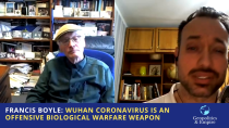 Thumbnail for Francis Boyle: Wuhan Coronavirus is an Offensive Biological Warfare Weapon