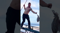 Thumbnail for Daring Ocean Rescue—He Walked a Plank to Save a Struggling Seagull | The Dodo