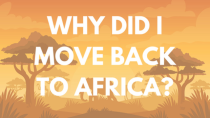 Thumbnail for Back to Africa