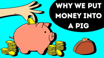 Thumbnail for That's Why Piggy Banks Are Pigs | BRIGHT SIDE