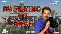 Thumbnail for Stossel: No Filming on Farms