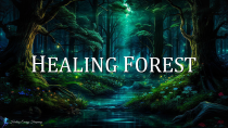 Thumbnail for HEALING FOREST AMBIENCE | 528Hz + 741Hz + 396Hz - Miracle Tone Healing | Energy Cleansing Meditation