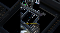 Thumbnail for Why Boeing 737 Pilots Hide Engine Information?! | LuxPlanes