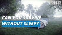 Thumbnail for What happens to your body when you don’t sleep? | Interesting Engineering