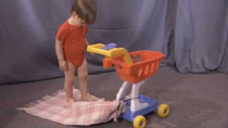 Thumbnail for The Baby Human - Shopping Cart Study | David Martin