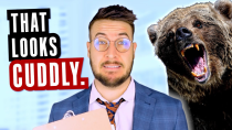 Thumbnail for The Guys Who Designed Teddy Bears | Ryan George