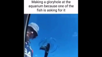 Thumbnail for Making a gloryhole at the aquarium because one of the fish is asking for it | FunnyMemeSpot