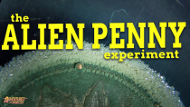 Thumbnail for The Alien Penny Experiment | Reuben Mahaffy