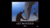 Thumbnail for Man VS Shark (get rotated idiot meme) #shorts | Electro